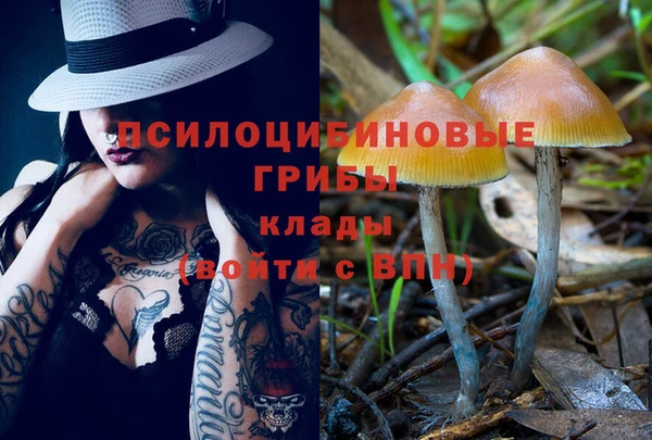 дурь Беломорск