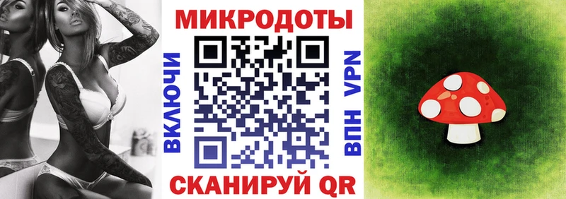 кракен tor  Гороховец  Галлюциногенные грибы мухоморы  дарк нет клад  наркота 